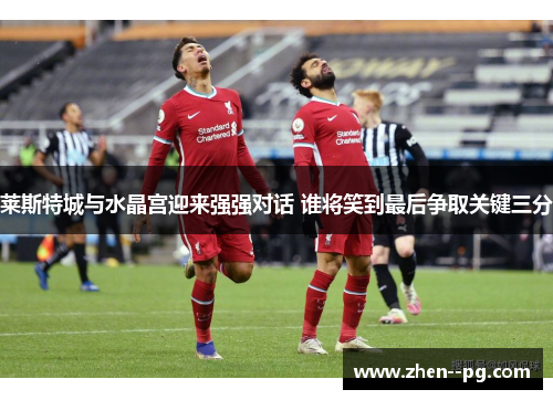 莱斯特城与水晶宫迎来强强对话 谁将笑到最后争取关键三分