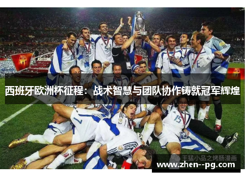 西班牙欧洲杯征程：战术智慧与团队协作铸就冠军辉煌