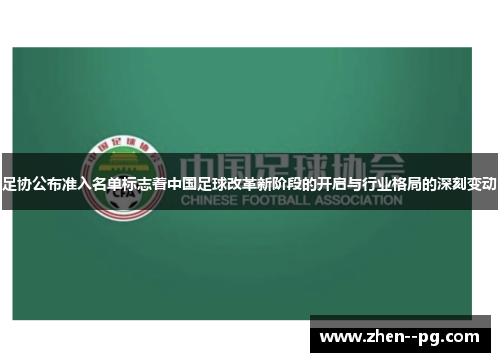 足协公布准入名单标志着中国足球改革新阶段的开启与行业格局的深刻变动