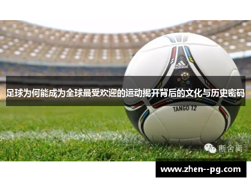 足球为何能成为全球最受欢迎的运动揭开背后的文化与历史密码