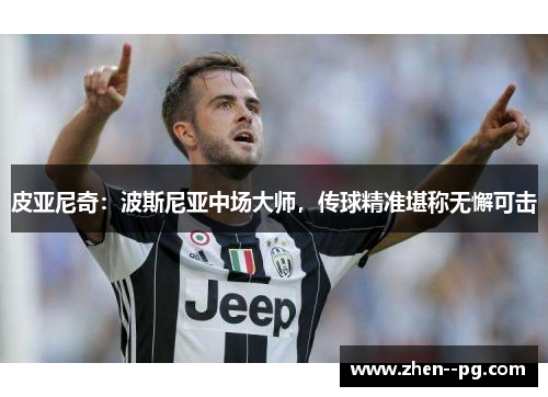 皮亚尼奇：波斯尼亚中场大师，传球精准堪称无懈可击