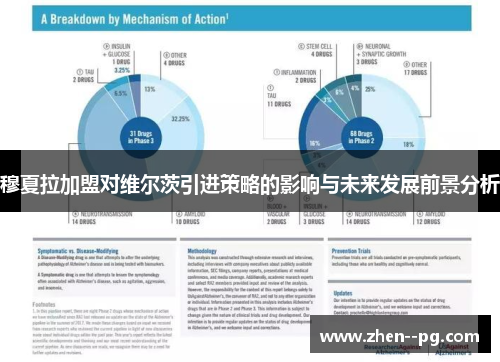 穆夏拉加盟对维尔茨引进策略的影响与未来发展前景分析