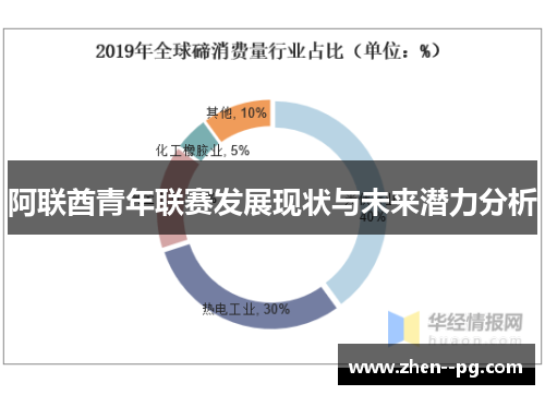 阿联酋青年联赛发展现状与未来潜力分析