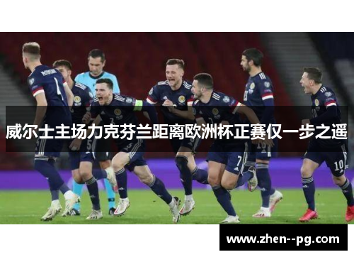 威尔士主场力克芬兰距离欧洲杯正赛仅一步之遥 威尔士主场力克芬兰距离欧洲杯正赛仅一步之遥